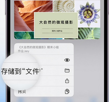 中卫apple维修中心分享iPhone文件应用中存储和找到下载文件