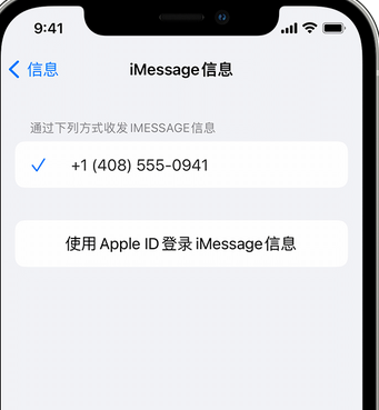 中卫apple维修iPhone上无法正常发送iMessage信息 