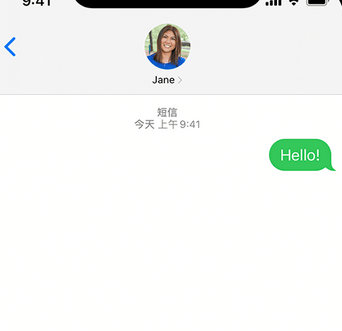 中卫apple维修iPhone上无法正常发送iMessage信息