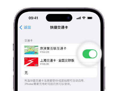 中卫apple维修点分享iPhone上更换Apple Pay快捷交通卡手绘卡面 