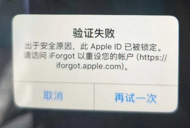 中卫iPhone维修分享iPhone上正常登录或使用AppleID怎么办 