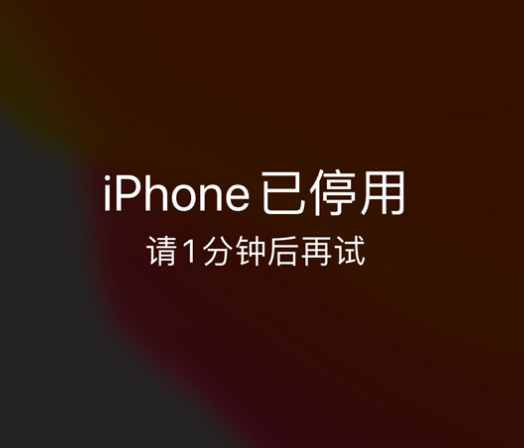 中卫苹果手机维修分享:iPhone 显示“不可用”或“已停用”怎么办？还能保留数据吗？ 