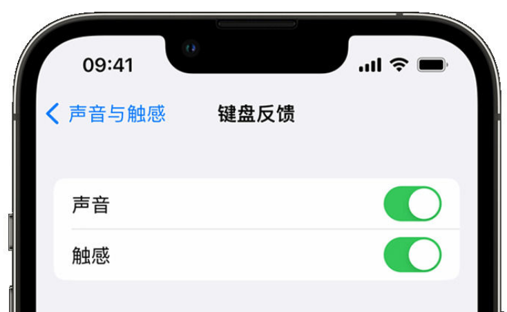 中卫苹果手机维修分享iPhone 14触感键盘使用方法 