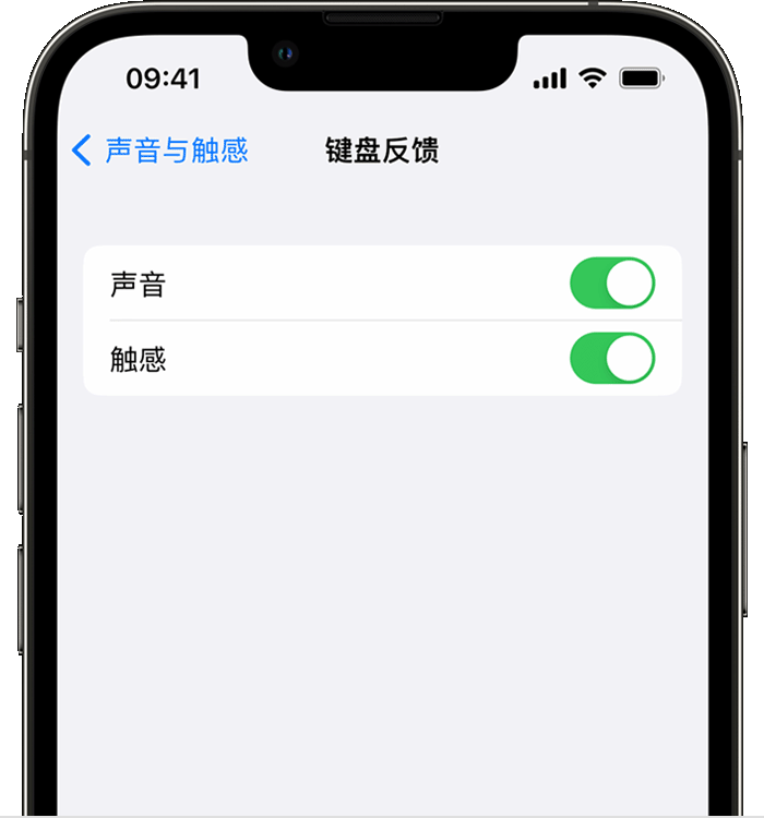 中卫苹果14维修店分享如何在 iPhone 14 机型中使用触感键盘 