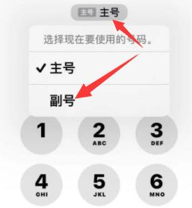 中卫苹果14维修店分享iPhone 14 Pro Max使用副卡打电话的方法 