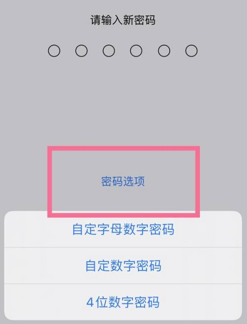 中卫苹果14维修分享iPhone 14plus设置密码的方法 