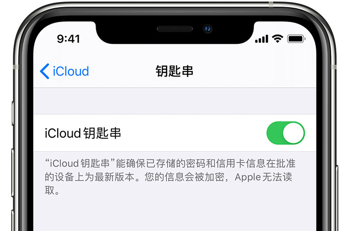 中卫苹果手机维修分享在 iPhone 上开启 iCloud 钥匙串之后会储存哪些信息 