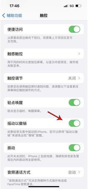 中卫苹果手机维修分享iPhone手机如何设置摇一摇删除文字 