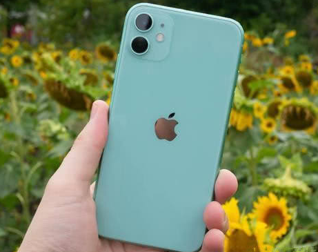 中卫苹果维修点分享iPhone 11锁屏密码认知与使用科普 